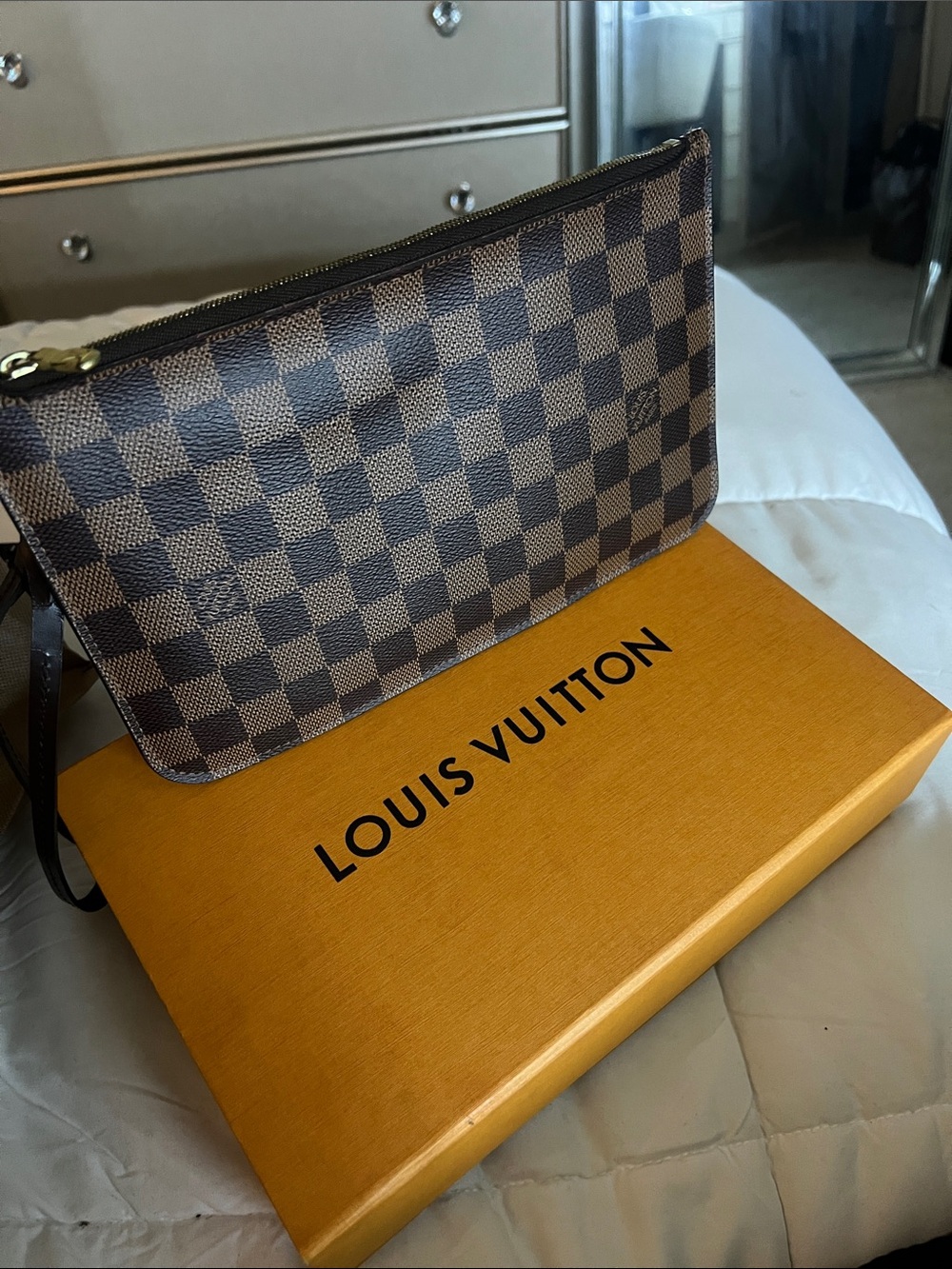 Louis Vuitton Brown Damier Ebene Mini Pouch